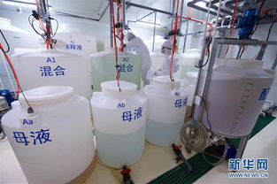 探访中科三安植物工厂 机械设备的先进科技之旅